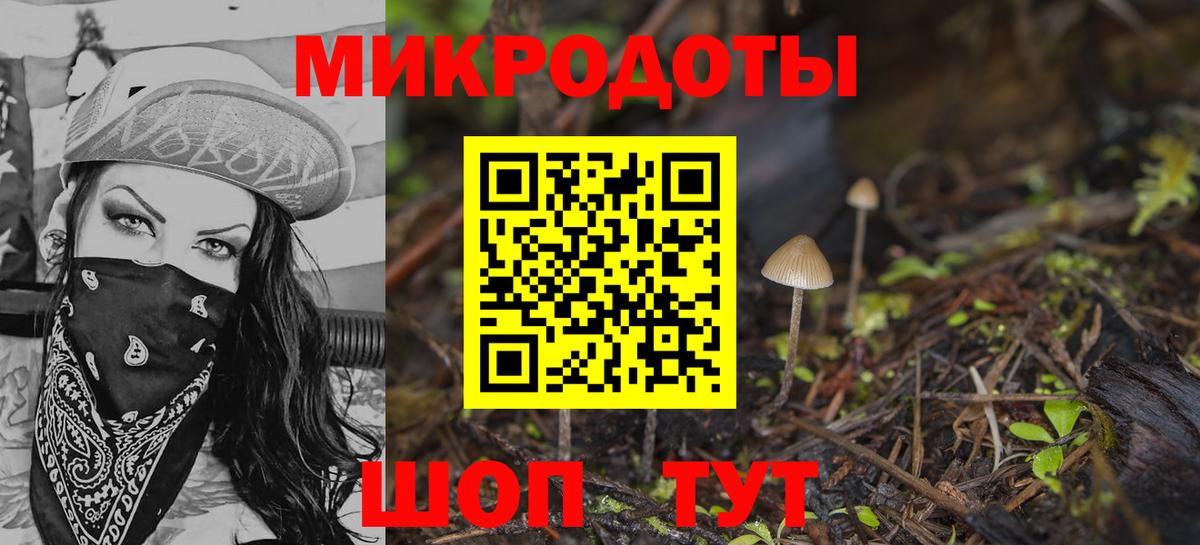 Псилоцибиновые грибы GOLDEN TEACHER  Вход с VPN  Галлюциногенные грибы мицелий  Липецк 